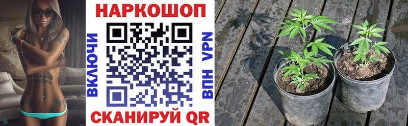 Наркота Шадринск СК  MDMA  ГАШ  МАРИХУАНА  COCAIN  Меф мяу мяу 