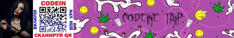 Кодеин Purple Drank  наркотики  Шадринск 