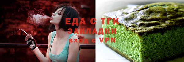 индика Богородицк