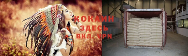 индика Богородицк