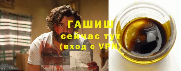индика Богородицк