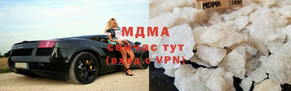 индика Богородицк