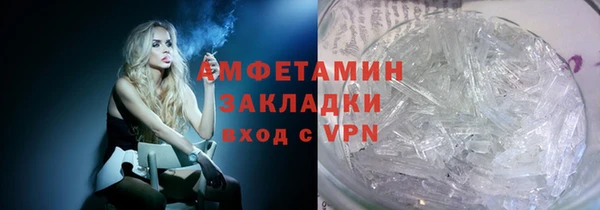 индика Богородицк
