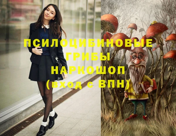 метамфетамин Богданович