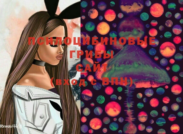 индика Богородицк