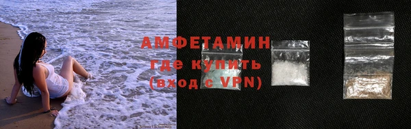 индика Богородицк
