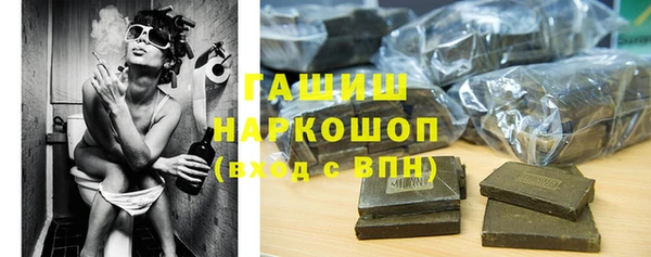индика Богородицк