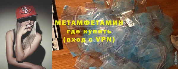 индика Богородицк