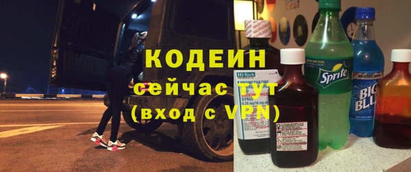 индика Богородицк